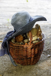 Similar image 21538014