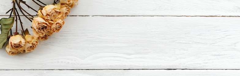 Similar image 21545541