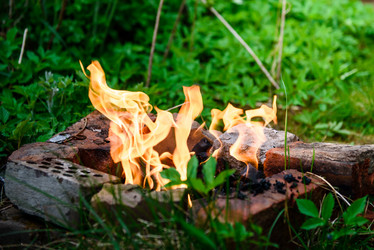 Similar image 21541630