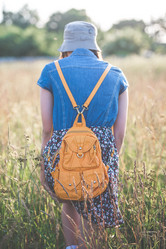 Similar image 21546055