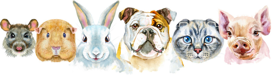 Similar image 21546813