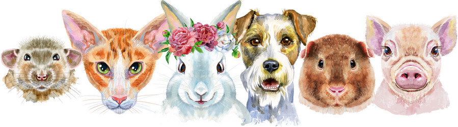 Similar image 21546814