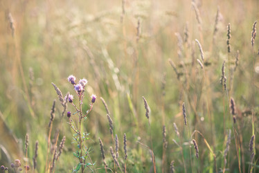 Similar image 21541843