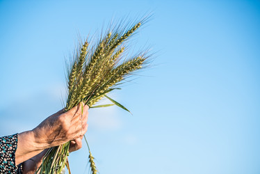 Similar image 21541845