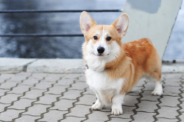 Similar image 21539224