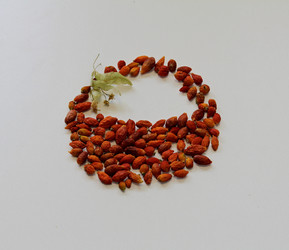 Similar image 21538015