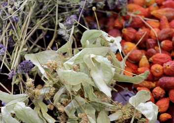 Similar image 21538016