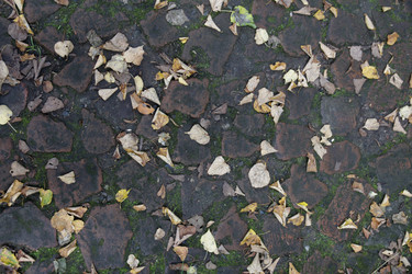 Similar image 21538018