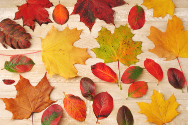 Similar image 21538479