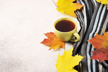 Similar image 21538488