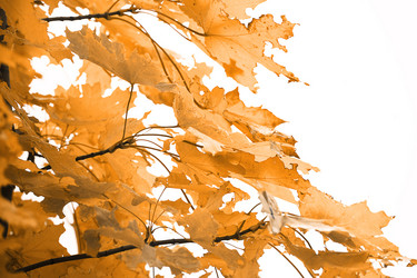 Similar image 21538881