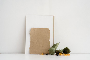 Similar image 21540916