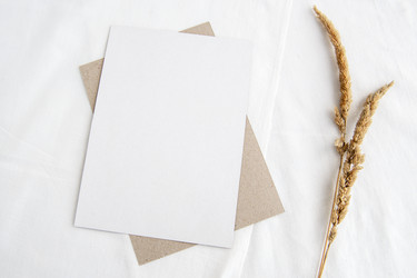 Similar image 21541160