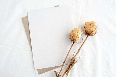 Similar image 21541161