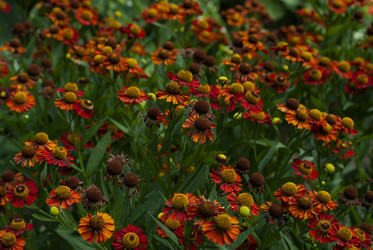 Similar image 21538620