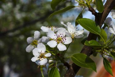 Similar image 21538621