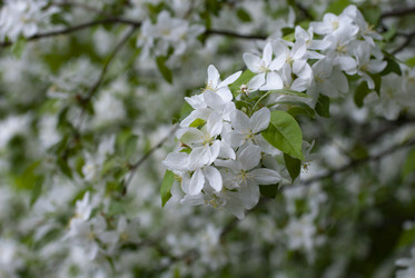 Similar image 21538622