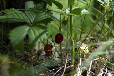 Similar image 21538623