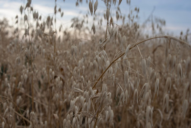 Similar image 21538040