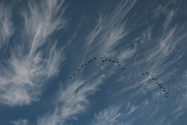 Similar image 21538625