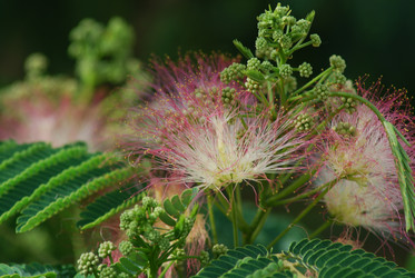 Similar image 21538049