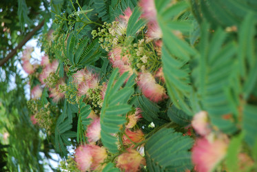 Similar image 21538050