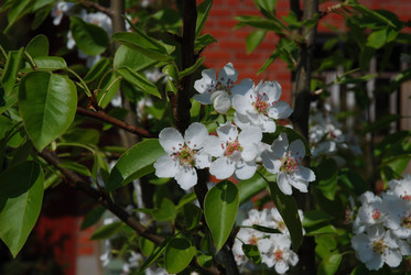 Similar image 21538626