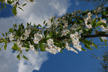 Similar image 21538627