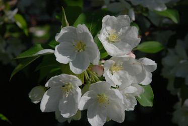 Similar image 21538628