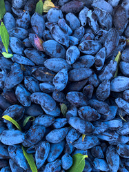 Similar image 21540522