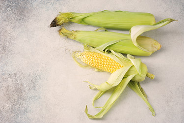 Similar image 21539230