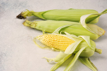 Similar image 21539233