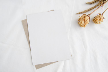 Similar image 21541872