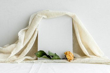 Similar image 21541874