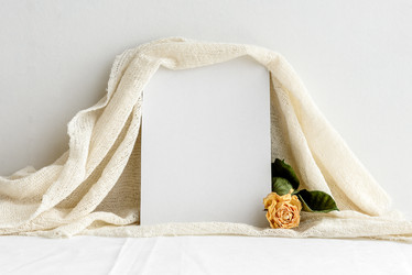 Similar image 21541879