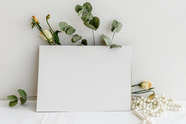 Similar image 21540080