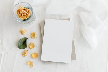 Similar image 21544869