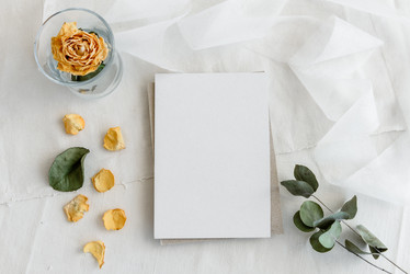 Similar image 21544870