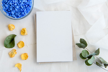 Similar image 21544871