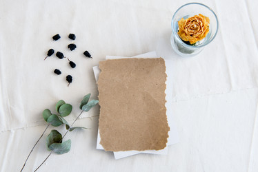 Similar image 21540694