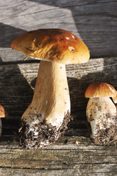 Similar image 21538889