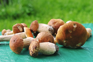 Similar image 21538891