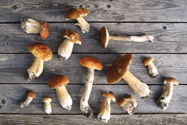 Similar image 21538893