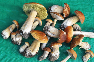 Similar image 21538900