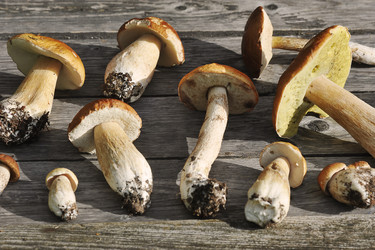 Similar image 21538905