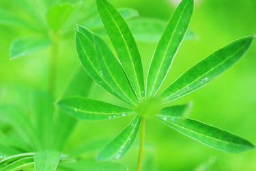 Similar image 21538906