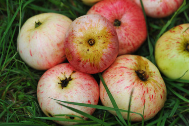 Similar image 21538907