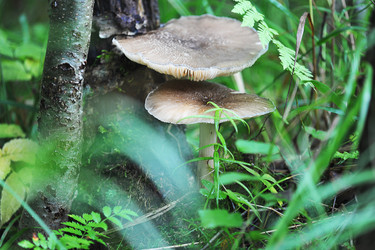 Similar image 21538908