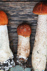 Similar image 21538912