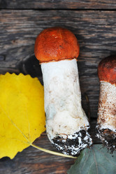 Similar image 21538913